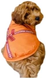Luxury Designer Dog T Shirt – Cute Puppy Clothes for Small Dogs, Fashion Pet Tee Outfit for French Bulldogs & Chihuahuas, Everything Chic Dog Apparel