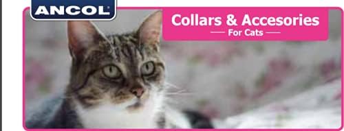 Ancol Gloss Reflective Cat Collar with Safety Buckle Blue