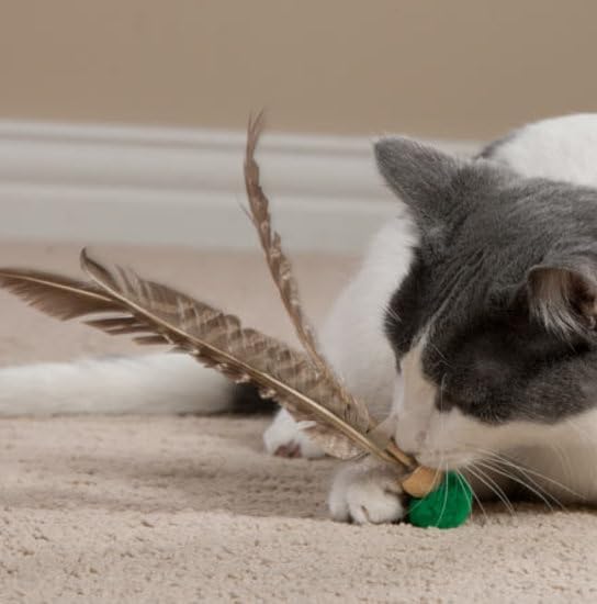 GoCat Kitty Kopter Cat Toy, Throw Toy with Feathers that Spins in the Air