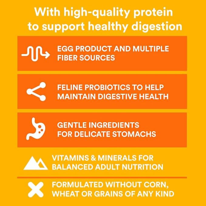 WholeHearted Healthy Digestion Chicken and Egg Product Recipe Dry Cat Food 5 lbs.