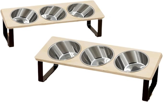 Cat Bowls with 3 Stainless Steel 15° Tilted Bowl for Small Cats Puppies