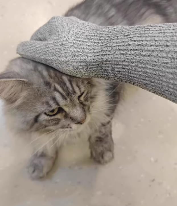 Flexible Pet Handling Sleeves Cat Shower Gloves, Cat Grooming Arm Sleeves, Anti-Scratch & Bite Resistant Protective Sleeves for Cats Puppy Birds (30CM/11.8")