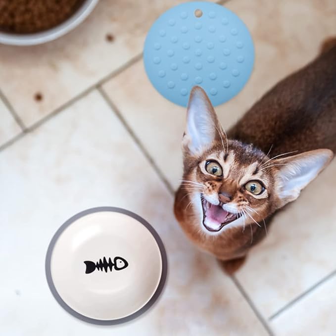 Shallow Cat Food Dish Ceramic Cat Plates for Wet Food Flat Cat Bowl for Whisker Fatigue Wide Kitten Feeding Tray Cute Cat Food Bowl Non Slip Cat Feeding & Watering Supplies (3 Sets)