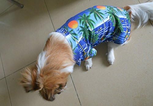 Tangpan Hawaiian Beach Coconut Tree Print Dog Shirt Summer Camp Shirt Clothes (Blue, XL)