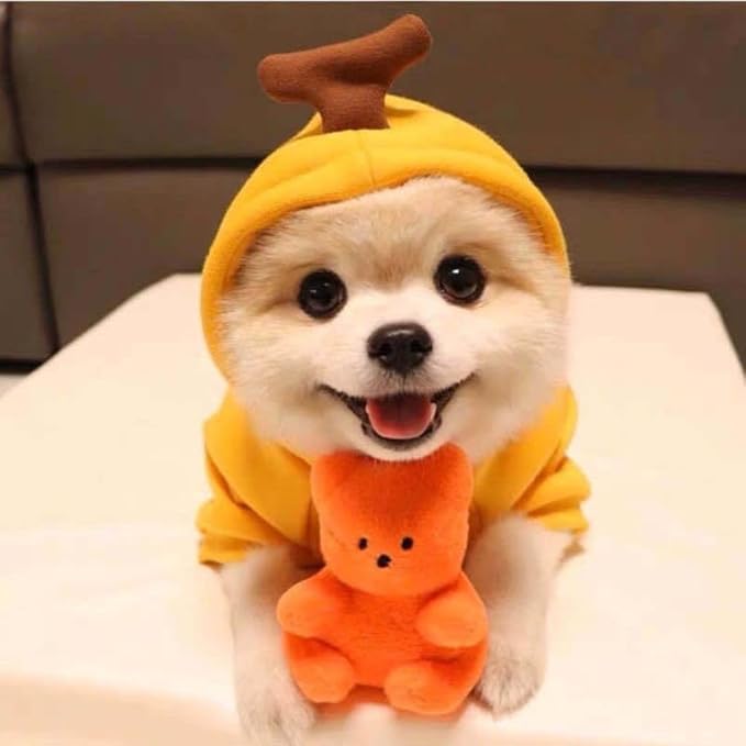 Pet Clothing Dog Transformation Frog Hoodie Autumn and Winter Warm Small Large Dog Method Dou Cat Bullfighting Clothes (Yellow Banana,2XL)