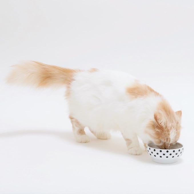 Necoichi Cat Food Bowl & Water Bowl - Shallow Wide Cute Cats Dish - Prevents Neck & Whisker Fatigue - Dishwasher & Microwave Safe - No Spill Ceramic Cat Bowl for Indoor Cats & Kittens (Dots Style)