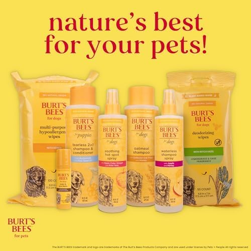 Burt's Bees for Pets Hypoallergenic Cat Shampoo with Shea Butter and Honey, Gentle Formula for Indoor Cats with Dry or Sensitive Skin, pH Balanced, Fragrance-Free, 10 Fl Oz - 6 Pack
