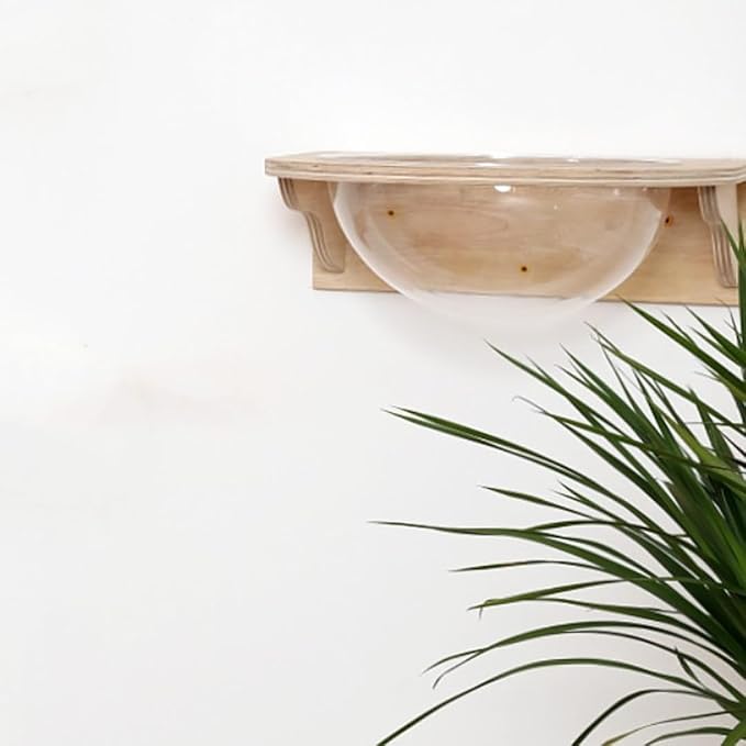 Cat Wall Shelves Wood for Large Cats,Wall Bubble House, Cat Wall Beds Furniture for Indoor Perch Transparent Capsule Bed Cat Steps-XL