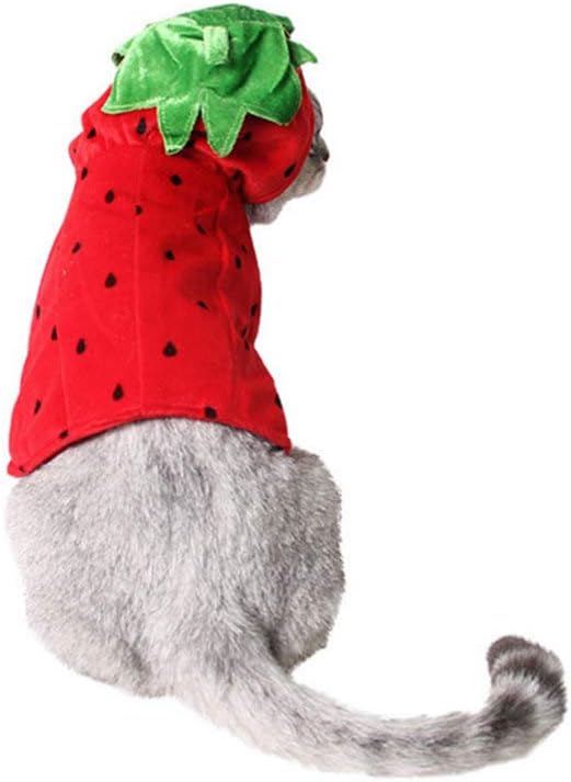 POPETPOP Cat Clothes - Strawberry Pet Halloween Costume Pet Apparel Puppy Kitten Strawberry Hooded Clothes Christmas New Year Birthday Party Daily Wear Dress Up