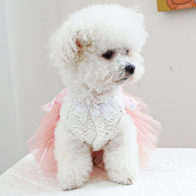 ANIAC Butterfly Dog Dress with Pink Tutu Funny Dog Clothes with Wing Girl Puppy Dress for Small Dogs Pet Butterfly Costume Holiday Cat Outfit for Halloween Birthday Wedding (Pink, Large)