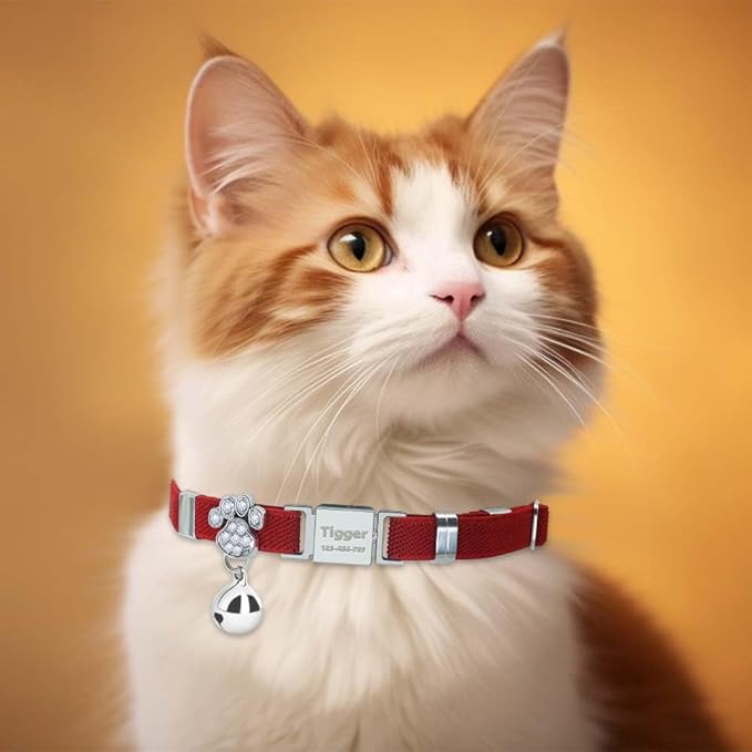 Personalized Safety Elastic Cat Collars with Bell,Laser Customized Stretch Kitten Collars for Girls Boys Cats-Red