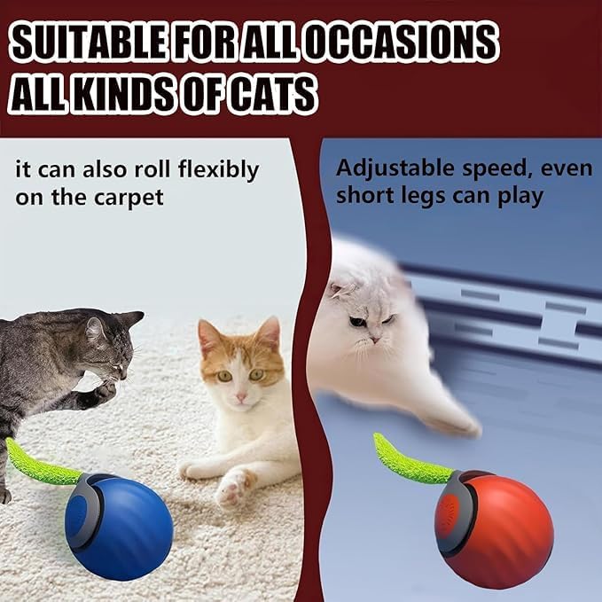 Speedy 2.0 Tail Interactive Cat Toys for Indoor Cats, Automatic Cat Toy with Tail, Electric Rolling Ball on Carpet,Cat Toys for Bored Indoor Adult Cats (Blue)