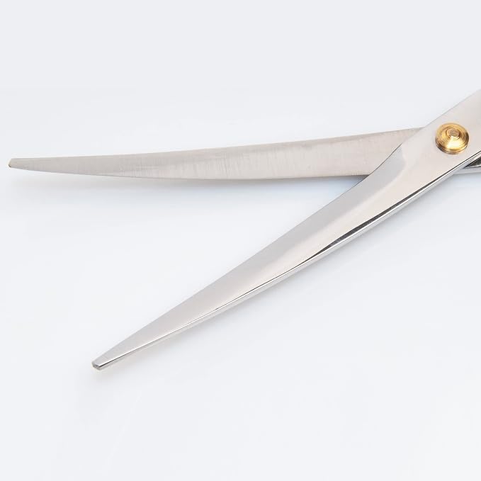 Diane Curved Point-Tip Pet Shear, 6.5-Inch Stainless Steel Hair Cutting Scissors for Precision Trimming, Facial Hair, Paws, Tail, and Sensitive Areas, Lightweight with Non-Slip Grip