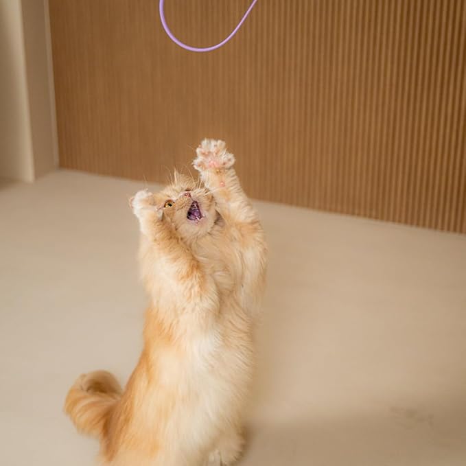 Catch Me If You Can! Silicone Cat Toy Teaser Wand β Durable, Easy-to-Clean Interactive Toy for Active Cats, Safe with Natural Predator Mimicking Movements