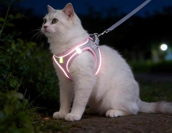 Cat Harness and Leash, Cat Harness Escape Proof, Soft Adjustable Cat Leash, Easy Control Breathable Reflective Strips Jacket (Pink)
