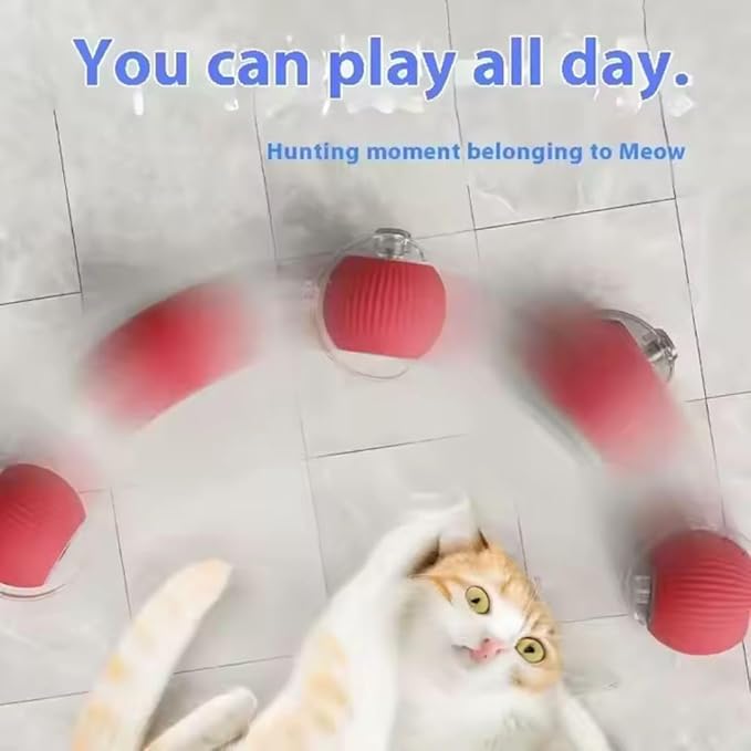 Cat Interactive Ball - Rechargeable, Motion Chase Toy, Self-Moving Kitten Toy for Indoor Playing, Fast on Carpet