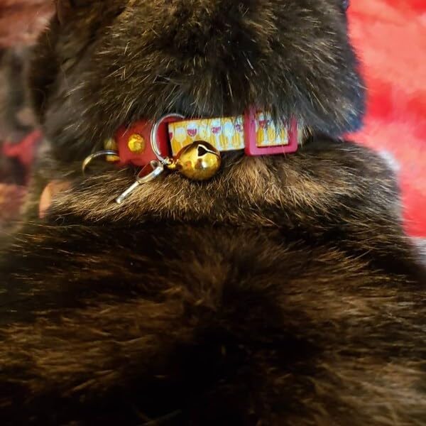 Wine Cat Collar with Bell | Safety Breakaway | Adjustable Large Size or Kitten Collar (Large(10lbs & Up), Gold)