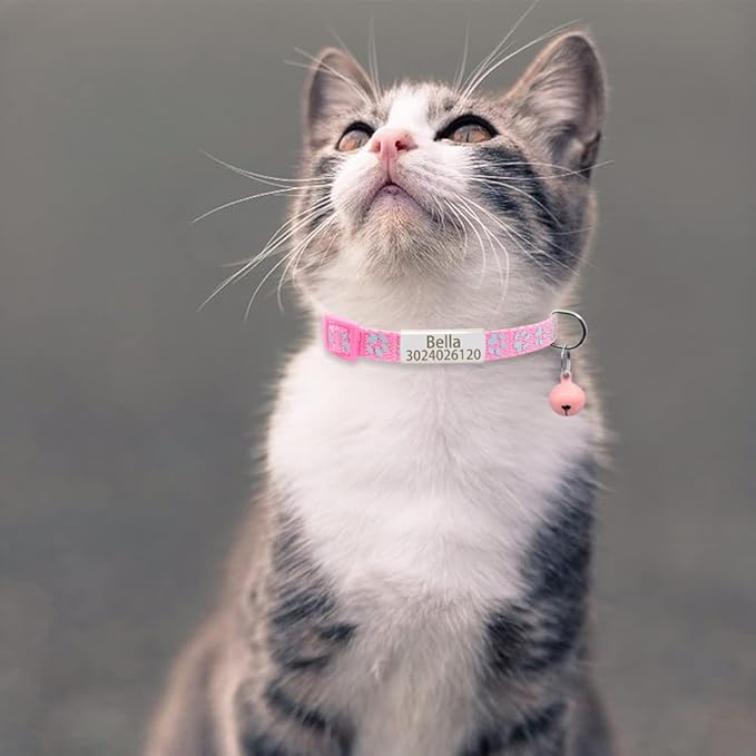 Personalized 2 Pack Reflective Cat Collar,Custom Breakaway Cat Collars with Name Tag and Bell,Anti-Lost Nameplate Cat Collar for Girls & Boys (Pink,fit 8''-11.0'')