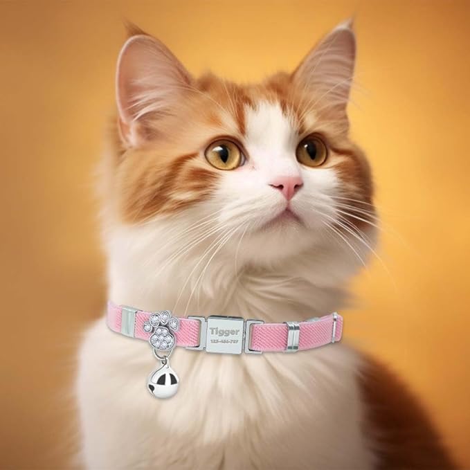 Personalized Safety Elastic Cat Collars with Bell,Laser Customized Stretch Kitten Collars for Girls Boys Cats-Pink