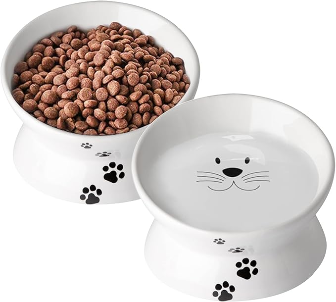 Cat Food Bowls, 10 OZ Elevated Cat Bowls for Cats and Small Dogs, Tilted Pet Feeder Bowl with Raised Stand Protect Cat's Spine, Ceramic Cat Water Bowl No-Spill, Stress Free Cat Dish 1pcs