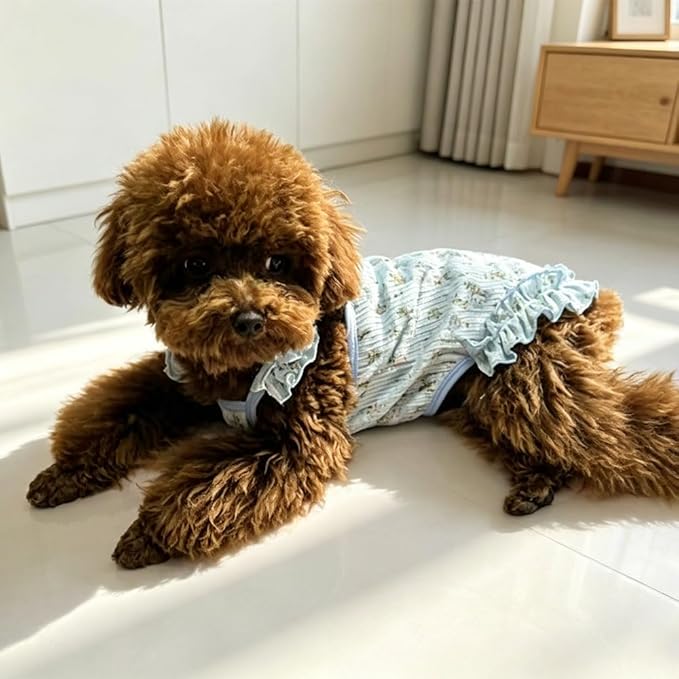 Dog Cat Cooling Summer Dress with D-Ring, Ice Silk Mesh Breathable Pet Clothes, Anti-UV Mosquito Proof, High Elastic Ruffle Dress & Half Belly Cover for Small Dogs Cats(Sky Blue, X-Small)