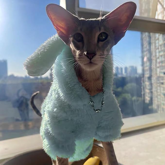 Stretchy Fuzzy 2-Leg Cat Hoodie Pajamas for Sphynx,Soft Fluffy Loungewear with Bunny Ears, Cozy Home Clothes for Hairless Cats, Winter Warm Outfit Sweater (Blue, M (3.5-5.5 lbs))