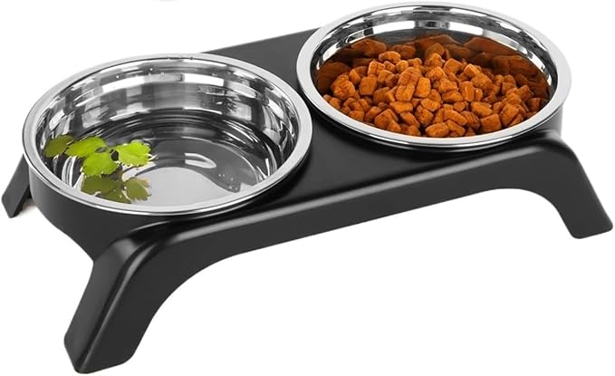 Cat Bowls Stainless Steel Raised Food Water Set for Indoor Cats
