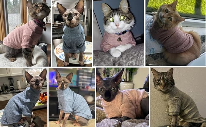 Idepet Sphynx Hairless Cats Sweater Shirt Kitten Soft Puppy Clothes Pullover Cute Cat Pajamas Jumpsuit Cotton Apparel Pet Winter Turtleneck for Cats and Teacup Chihuahua Small Dogs(Blue,L)