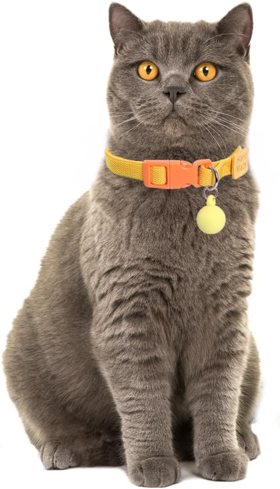 Lamphyface 2 Pack Eastic Cat Collar with Solid-Color Ball Pendant Adjustable Accessory for Cats Puppy Kitten Kitty
