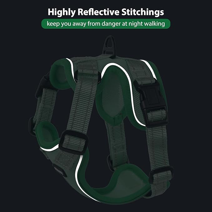 Rttochfy Cat Harness and Leash Set, Adjustable and Reflective Cat Vest, Escape Proof Kitten Harness, Easy to Put on with 3 Buckles for Cats Walking and Traveling (Light Green, M)