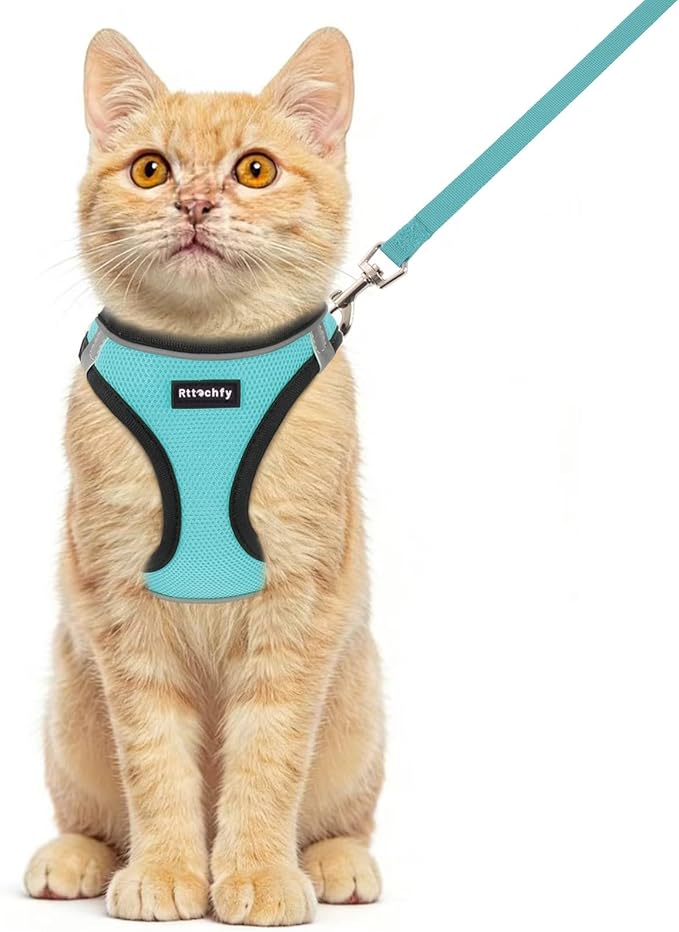 Rttochfy Cat Harness and Leash Set, Escape Proof Kitten Harness, Soft and Breathable Vest with Reflective Strip, Easy to Wear for Cats Walking and Traveling (BK Cyan, XXS)