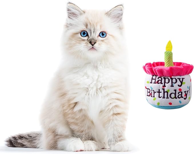 Happy Birthday Cake Catnip Toys, Birthday Cake Shaped Chew Toys for Kitten Funny Cats Gifts Plush Cat Birthday Party Toys, Pink