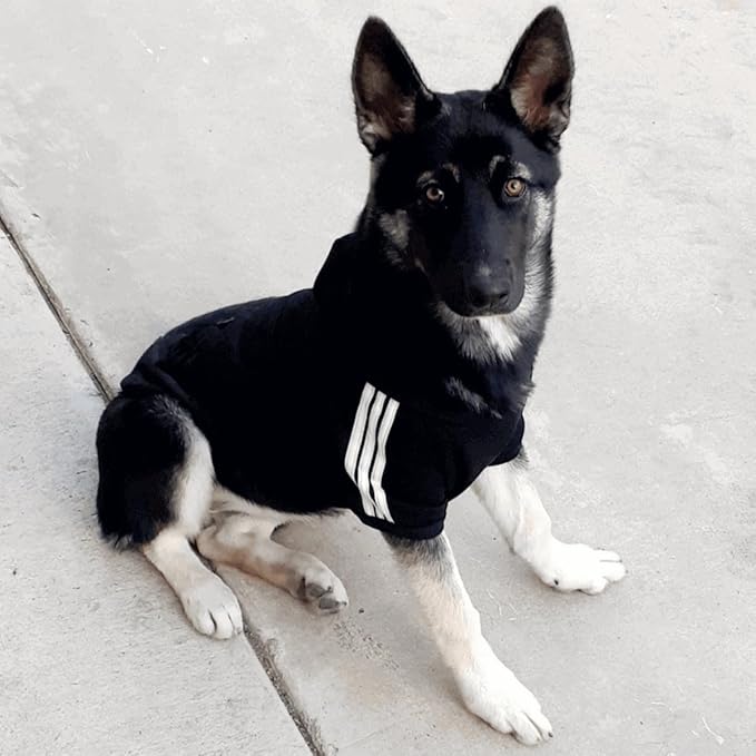 Cute Dog Hoodie Sweater Pullover Tracksuit Jacket Winter Cold Weather Coat Clothes Clothing 2-Legs Black for Cat Puppy Small Medium Big All Type Dogs (Small)