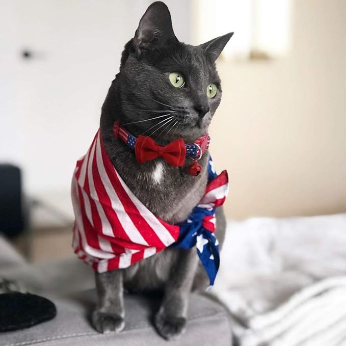 BoomBone American Flag Cat Collar Bowtie Breakaway with Bell