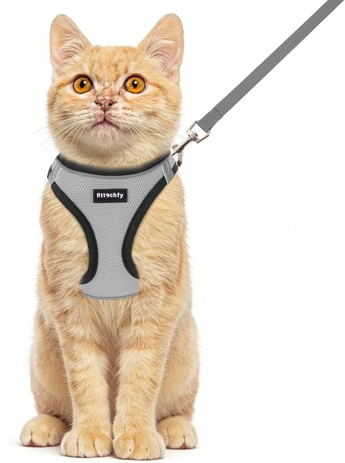 Rttochfy Cat Harness and Leash Set, Escape Proof Kitten Harness, Soft and Breathable Vest with Reflective Strip, Easy to Wear for Cats Walking and Traveling (BK Grey, M)