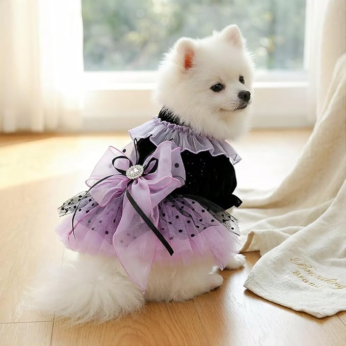 Dog and Cat Butterfly Princess Lace Tutu Dress, Dog Girl Set, Kitten Chihuahua York Pomeranian Pet Clothing (Purple-Bow, X-Large)