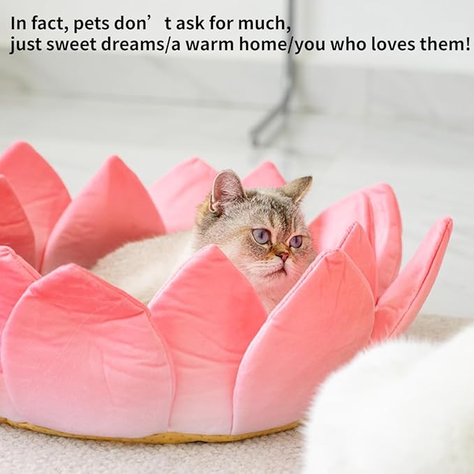 Scratching Board Toy Round Scratching Pad Anti-Scratch Post Corrugated Paper Lounge Bed Scratch Board for Boredom Interactive Toy Nest Bed Pet Supplies for Cats Furniture (Nest with Accessories)
