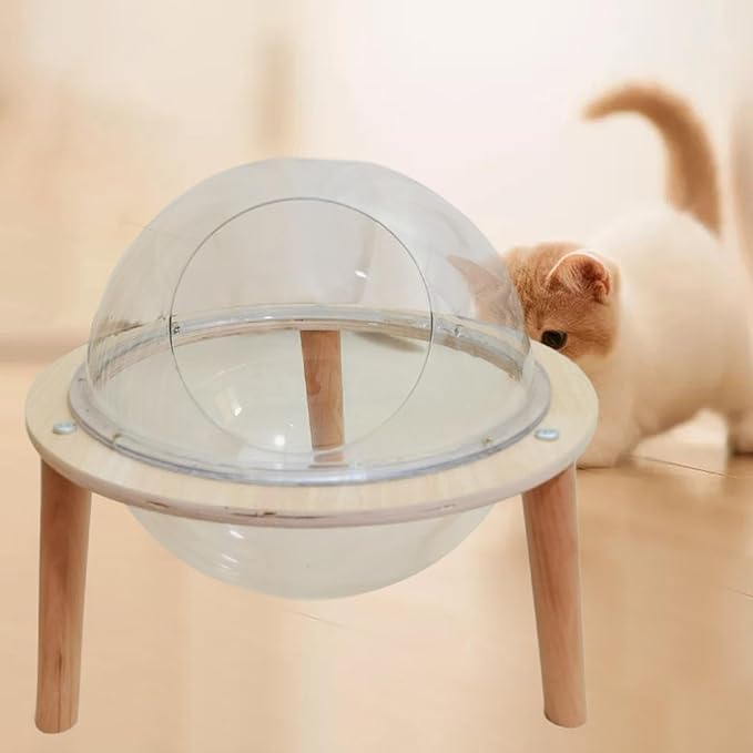 Space Capsule Cat Bed Indoor Cat Hammock Condo House Transparent Acrylic Sphere 11.81inch Small Pet Furniture