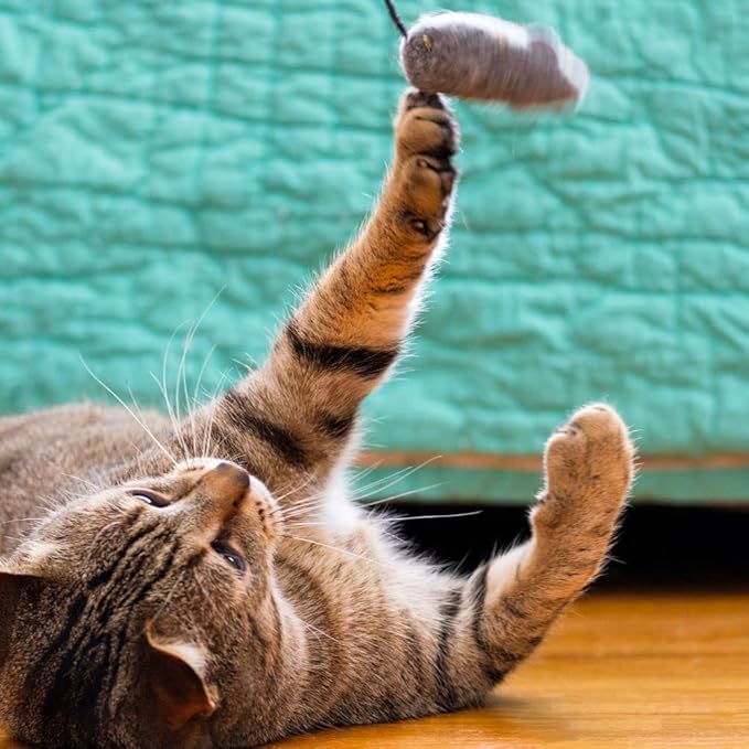 Kit and Kaboodle Crunchy Chicken Cat Treats - 2 Count (9 Ounces) Bundled with MerlinsMart Zine - Plus Catnip Toy-L8