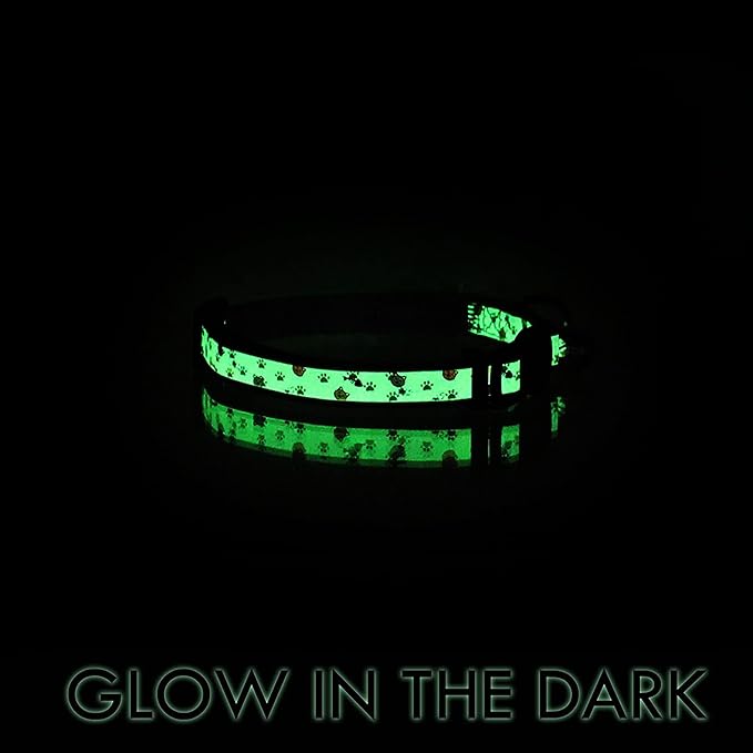 Pawtitas Glow in the Dark Cat Collar with Breakaway Safety Buckle & Bell Adjustable Kitten Collar, Green