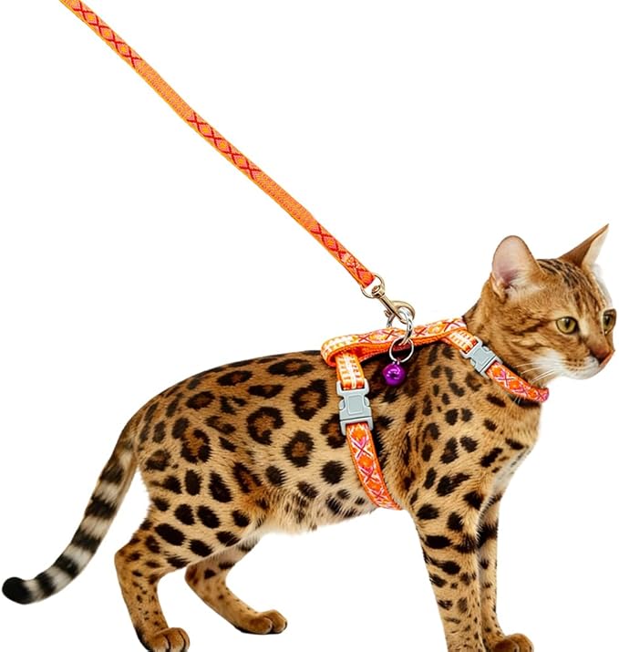 Freezx Cat Harness and Leash Set - Adjustable Escape Proof Cat Harness for Safe Walking - Lightweight Soft Travel Kitten Harness for Small Medium Cats