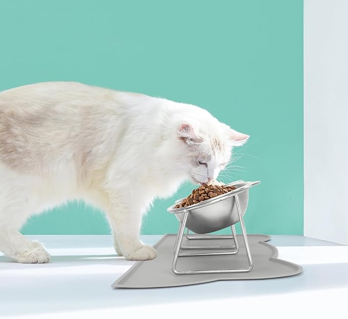 Elevated Cat Bowls, 2 Pack Raised Cat Food Water Bowls with Non-Slip Placemat, 15° Tilted Stand Anti Vomiting Stainless Steel Pet Food Feeding Dishes Plate for Cats Kitten Puppies Dogs Small Animals
