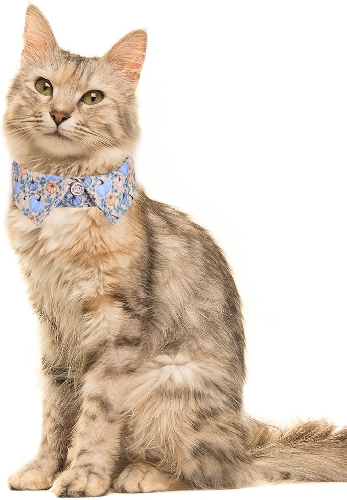 Fall Cat Collar Thanksgiving Day Breakaway with Bow Tie and Bell Autumn Holiday for Kitty Adjustable Safety