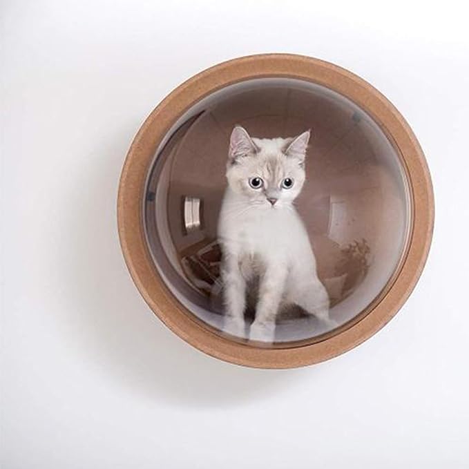Round Cat Wall Furniture Wall Shelves for Cats Wood Transparent Capsule Breathable for Indoor Large Small Kitten