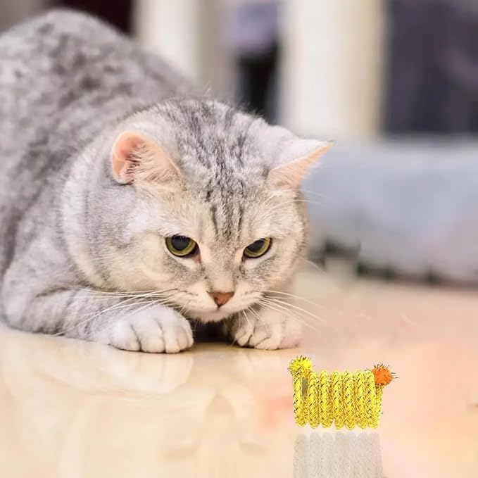 Hemsyc 3 PCS Cat Springs Colorful Interactive Cat Toy Plastic Coil Spiral for Kitten