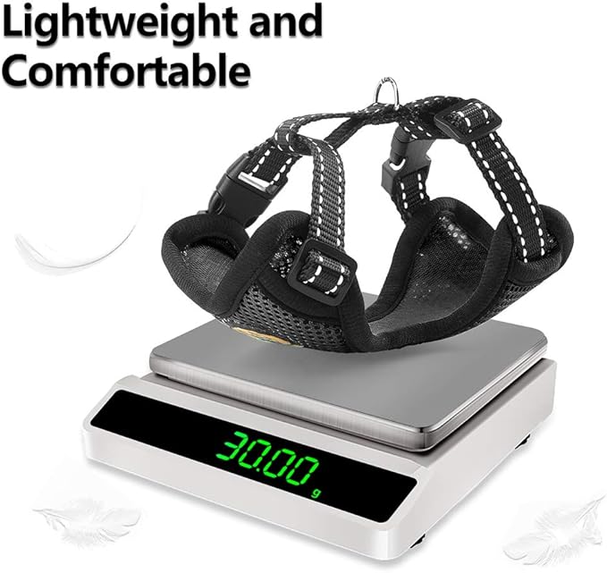 AWOOF Reflective Kitten Harness and Leash Escape Proof with Car Seat Belt, Adjustable Cat Puppy Walking Jacket with Metal Leash Ring, Soft Breathable Small Pet Vest (M)