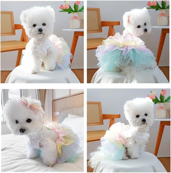 ANIAC Happy 1st Easter Dog Dress Girl Holiday Puppy Clothes for Small Dog Easter Cat Outfit Eggs Print Rainbow Doggy Princess Tutu Dress Pet Clothing (Small)