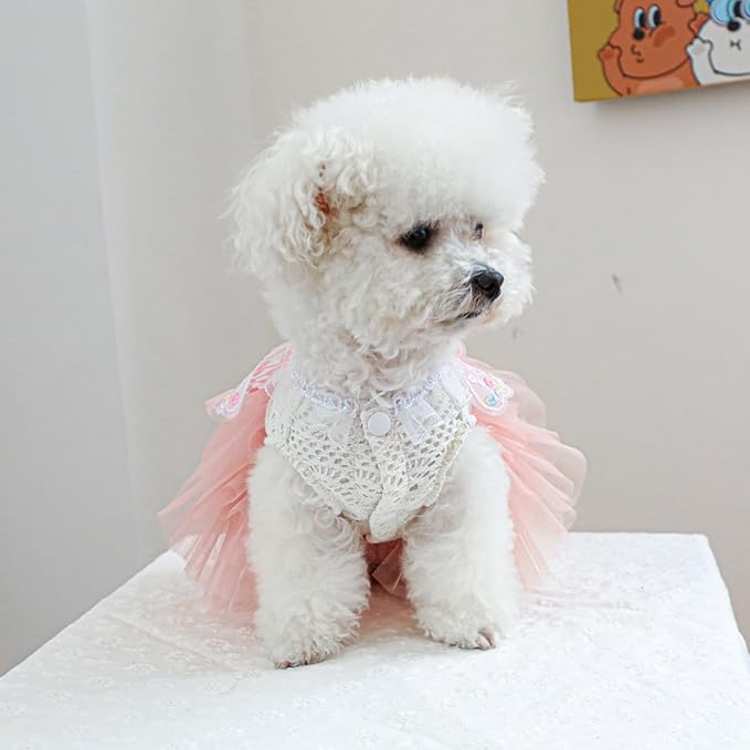 Fairy Dog Dress Cat Princess Outfit with Pink Tulle Skirt & Butterfly Wings, White Knit Top with Lace Collar, Pet Clothes for Small Dogs Cats Birthday Wedding Halloween14.3-17.6lbs(Pink,XL)