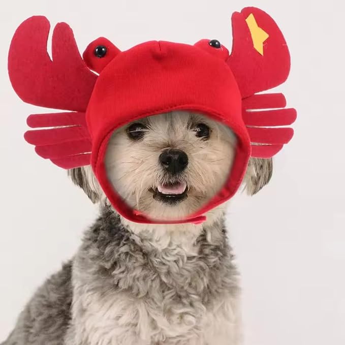 Dzrige Halloween Pet Crab Hat Red Plush Crab Hat Funny Cat Pup Small Pet Hat Halloween Crab Headwear for Halloween Masquerade Dress Up Cosplay