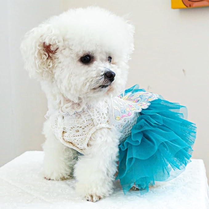 ANIAC Butterfly Dog Dress with Blue Tutu Funny Dog Clothes with Wing Girl Puppy Dress for Small Dogs Pet Butterfly Costume Holiday Cat Outfit for Halloween Birthday Wedding (Lake Blue, X-Large)